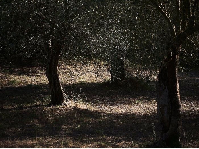 Archisio - Matteo Castelli Fotografia - Progetto Villa a montopoli pisa