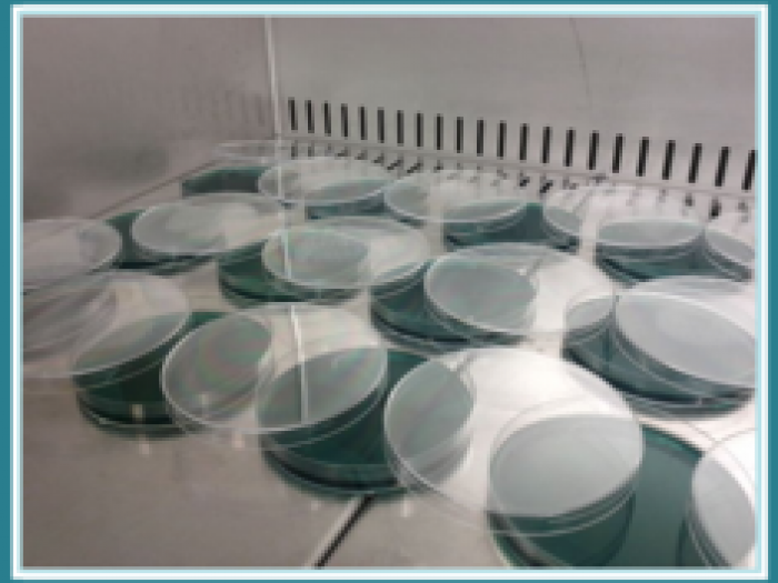 Archisio - Hydronatural - Progetto Analisi chimiche