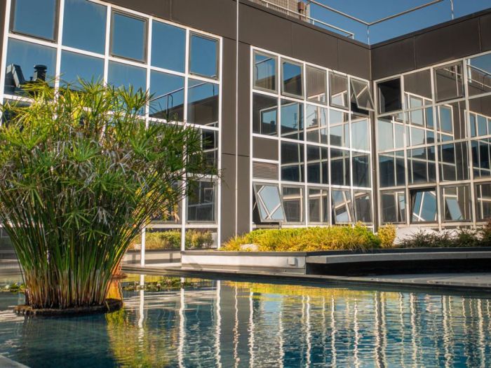 Archisio - Forme Dacqua - Progetto Biolago con vasca reflecting