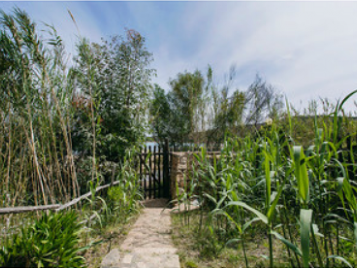 Archisio - Silvia Cardia - Progetto Sardinia cala girgolu