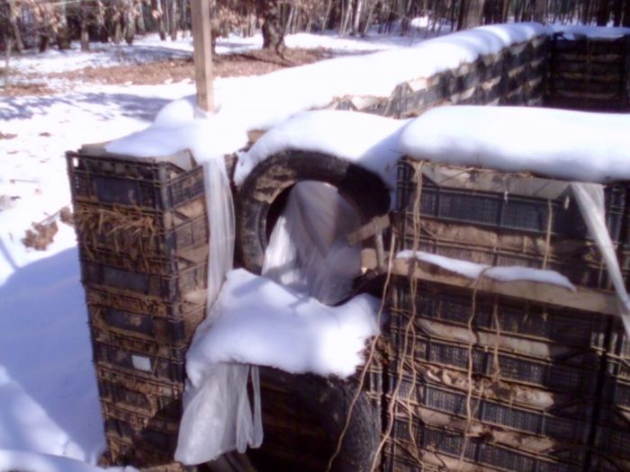 Archisio - Luxurysign - Progetto Charity