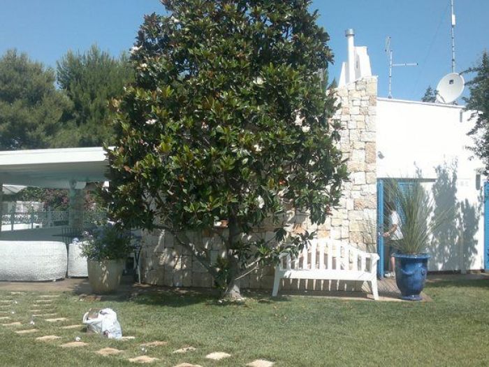 Archisio - Lorenzo Maria Antonello Gerardi - Progetto Villa a rosa marina