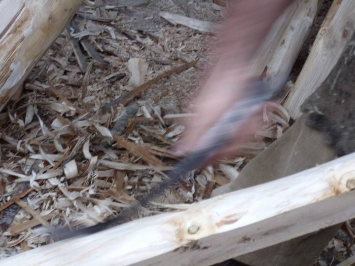 Archisio - Falegnameria Ferruzzi - Progetto Segheria