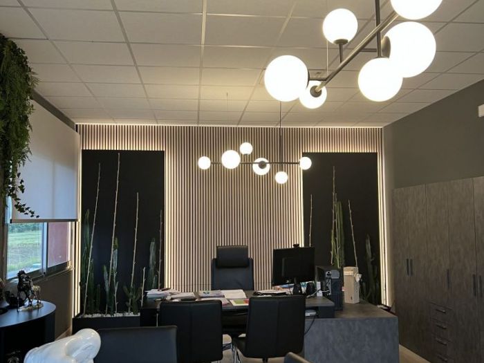 Archisio - Daniela Verta - Progetto Genesis comunicazione e marketing