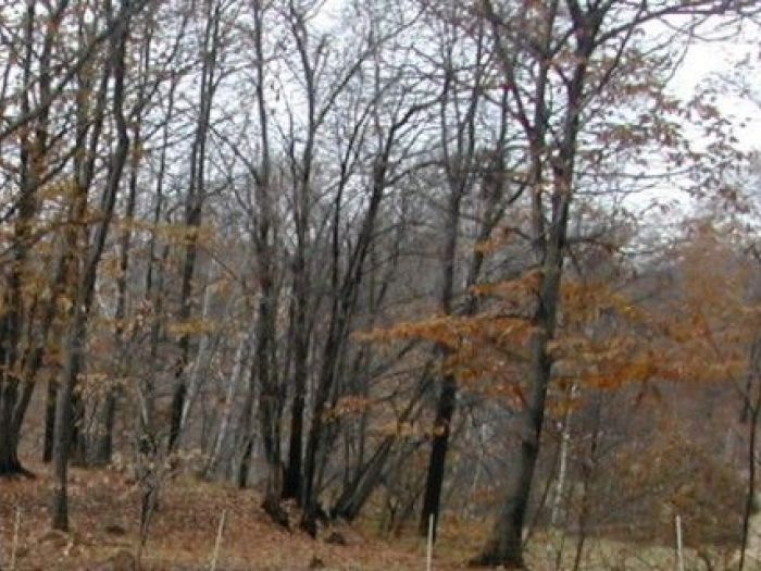 Archisio - Studio Di Agronomia E Architettura Del Paesaggio - Progetto Parco paesaggistico di interesse provinciale del quargnasca - rovella