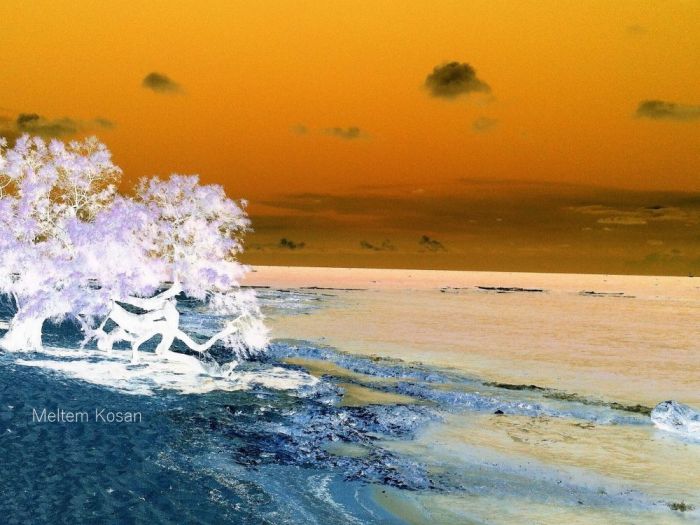 Archisio - Gianluca Vetrugno Meltem Kosan the Art Of The Negative - Artisti - Progetto Galleria 2 paesaggi