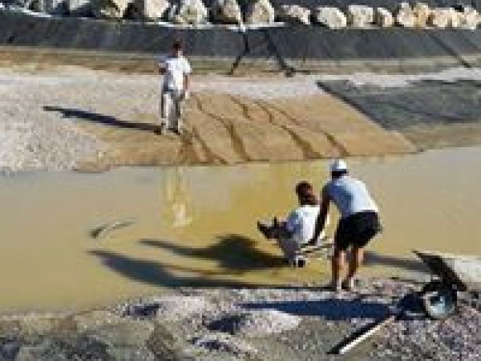 Archisio - Arqtropa Studio - Progetto Biolago maremmano