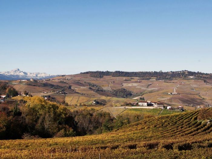 Archisio - Dario Castellino - Progetto Spazi espositivi