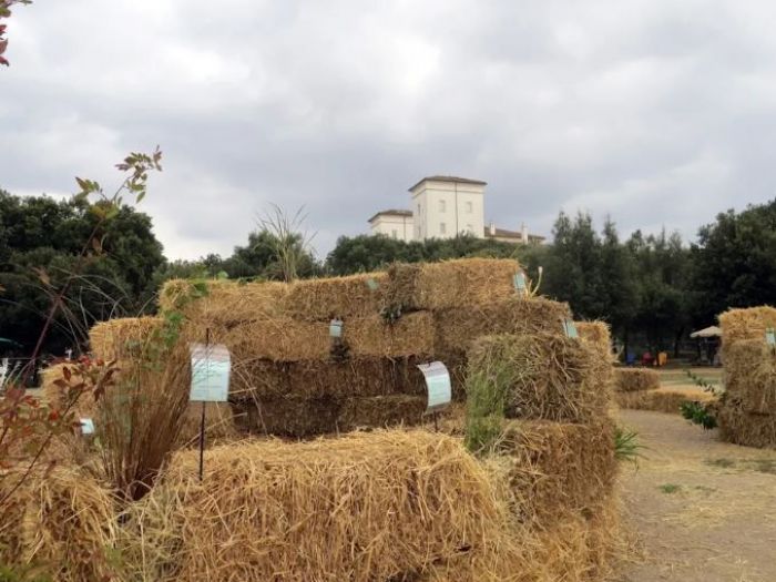 Archisio - Stefania Lorenzini Garden Designer - Progetto La conserva della neve 2014 parco dei daini villa borghese