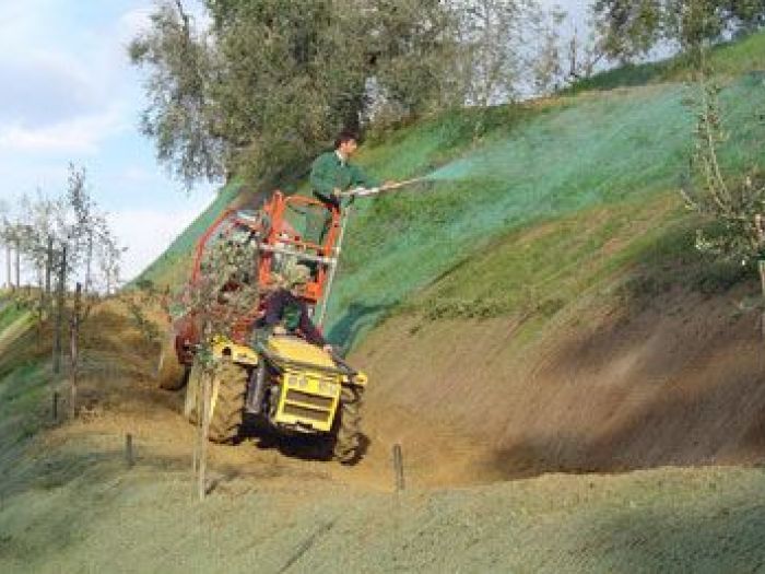 Archisio - Societ Agricola Colombini Ulisse srl - Progetto Servizi speciali