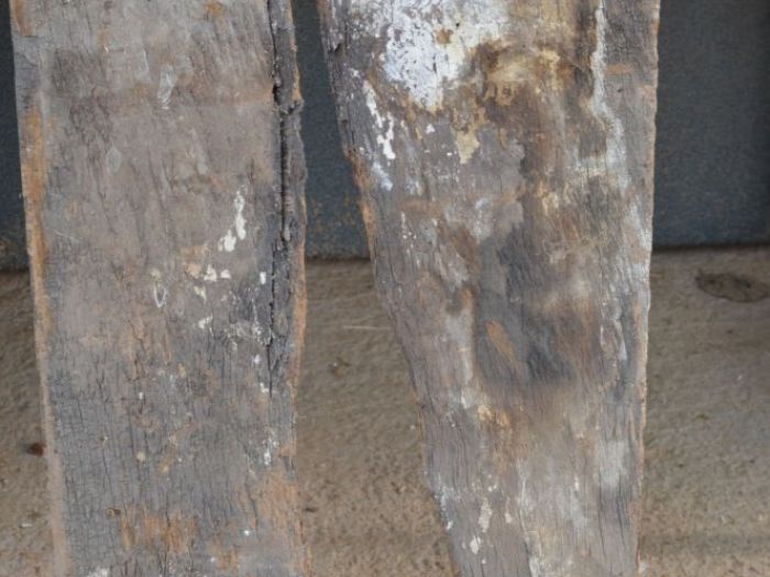 Archisio - Andrea Daguanno - Progetto Arredo