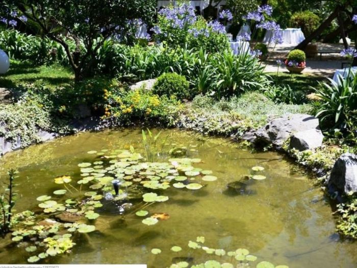 Archisio - Architetto Del Paesaggio Designer Del Verde - Progetto Laghetto decorativo