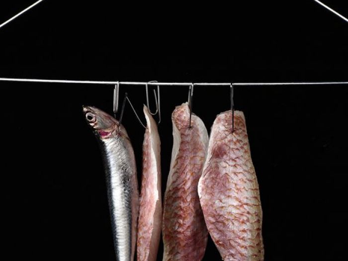 Archisio - Condiviso Coop - Progetto Servizi fotografici