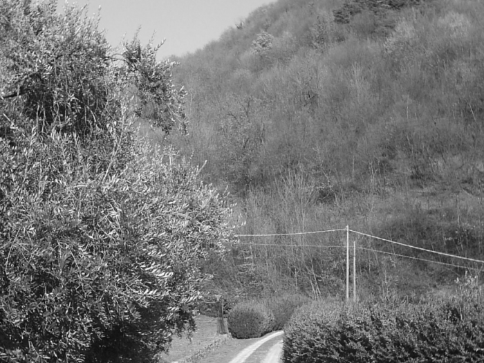 Archisio - Davide Stona - Progetto Sistemazione fondo agricolo