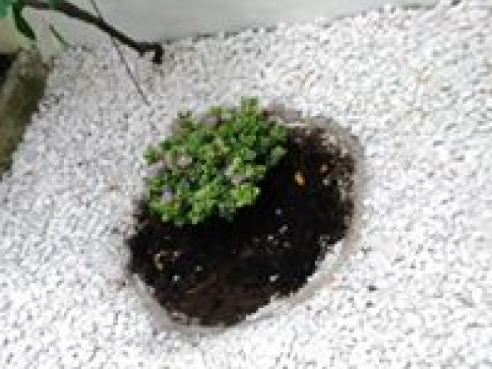 Archisio - Esseb Edilizia - Progetto Ristrutturazione cimitero