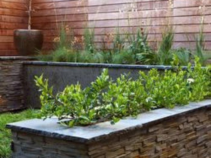 Archisio - Antonella Marchetti - Progetto Ortocultura