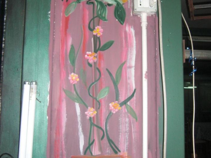 Archisio - Pazza Darte - Progetto Decorazioni artistiche