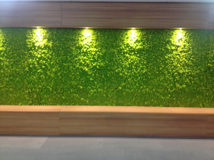 Archisio - Studio Pastore Architettura - Progetto Progettazione parete verde con moss
