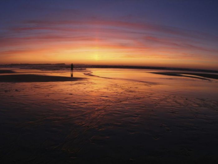 Archisio - Roberto Nangeroni Photographer - Progetto Natura