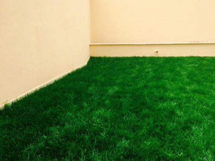 Archisio - La Servizi Ristrutturazioni - Progetto Esterni