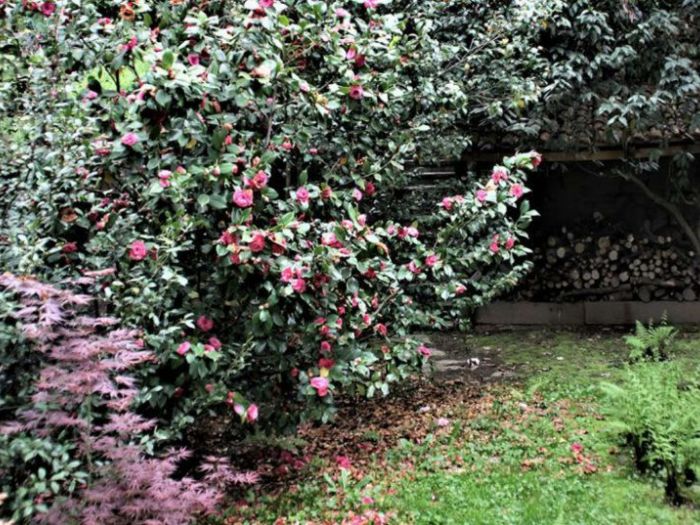 Archisio - Giardini Benatti - Progetto Consulenza paesagistica