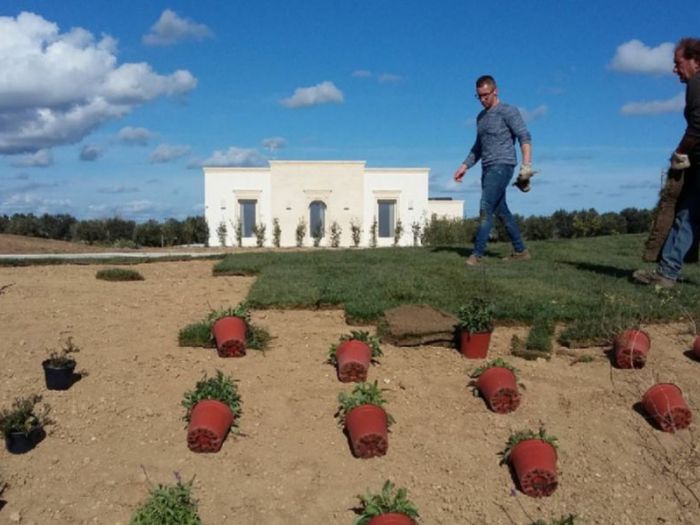 Archisio - Gabriele Fanuli - Progetto Un resort tutto mediterraneo