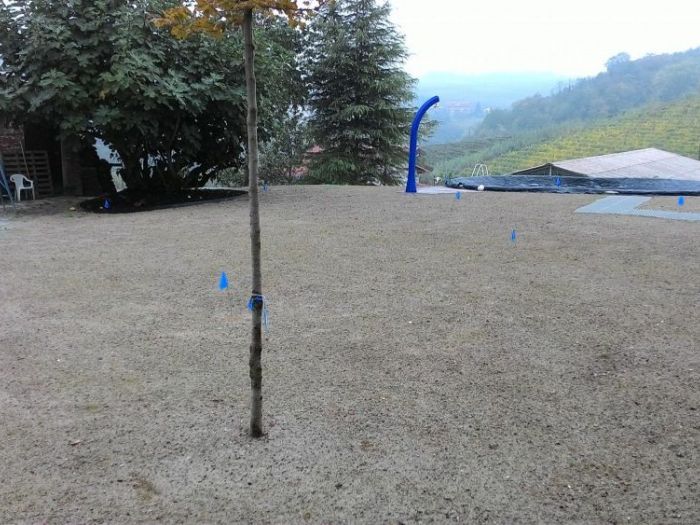 Archisio - Claudio Raiteri Verde Giardino - Progetto Irrigazione rigenerazione pratorigenerazione pratotree climbingisolamento solai