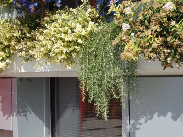 Archisio - Casesa Tiziano - Progetto Casa in legno