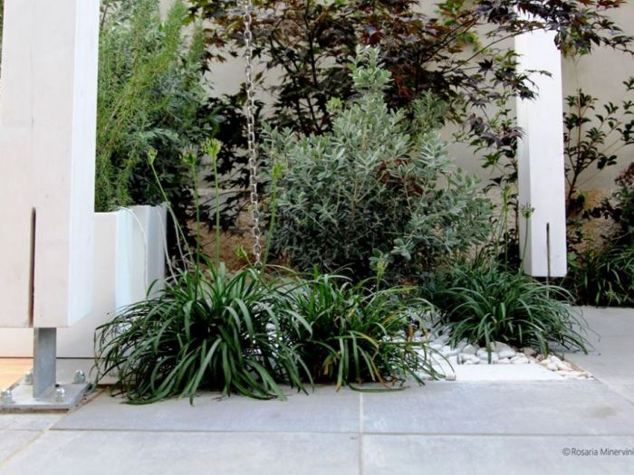 Archisio - Pedone Working - Progetto Verde matematico