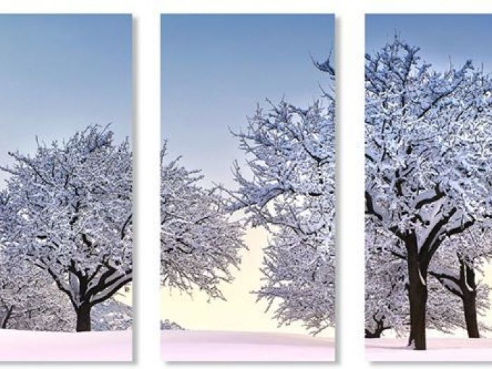 Archisio - Stevephoto Di Stefano Venturini - Progetto Multiformato