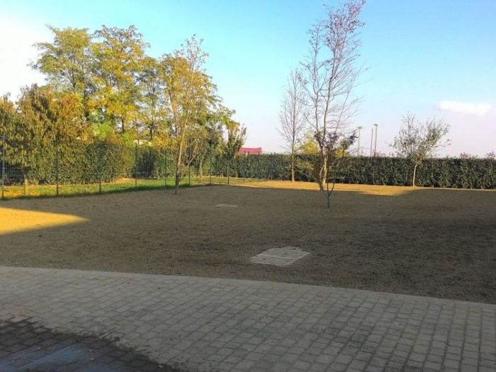 Archisio - Claudio Raiteri Verde Giardino - Progetto Irrigazione rigenerazione pratorigenerazione pratotree climbingisolamento solai