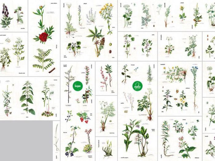 Archisio - Studio Faiazza Architettura E Design - Arch Ascenzio Faiazza - Arch Valeria Verzella - Progetto Studio medico-sala dattesa