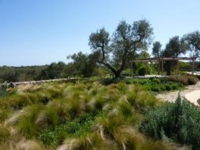 Archisio - Elisabetta Fermani - Progetto Giardino privato