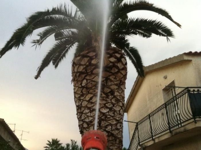 Archisio - Service Garden - Progetto Manutenzione verde