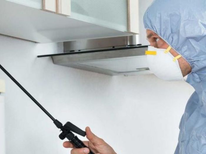 Archisio - Giesse Disinfestazioni - Progetto Disinfestazioni