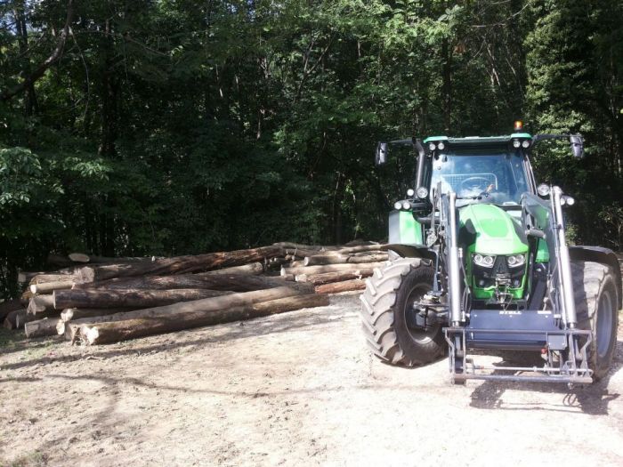 Archisio - Il Dottore Del Verde Di Bruno Barnaba - Progetto Utilizzazioni boschive