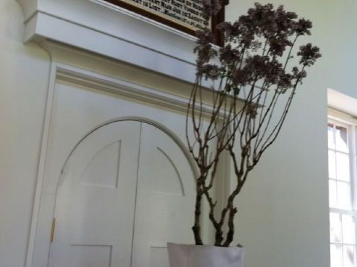 Archisio - Carlo Maria Maggia - Progetto Giardini