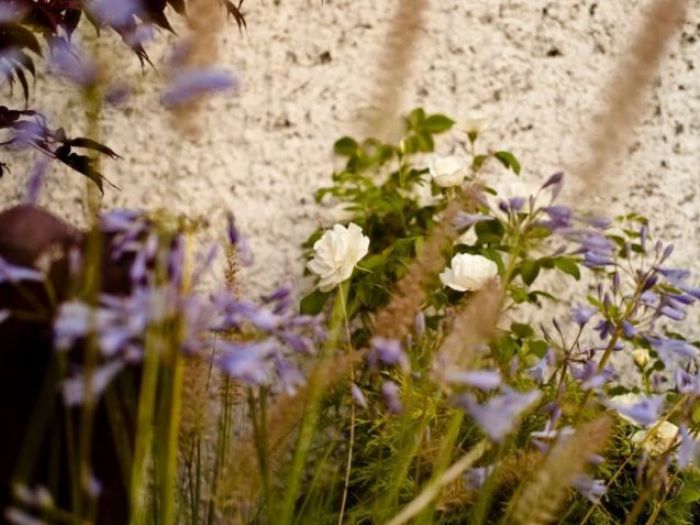 Archisio - Lucrezia Didonna - Progetto Casa privata