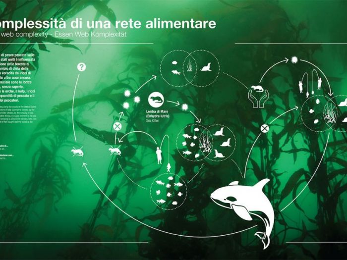 Archisio - Campomarzio - Progetto Sustainability galleryMuse science museum of trento