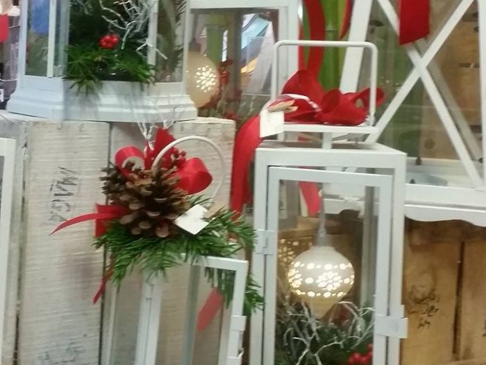 Archisio - Massarroni - Vivai Piante - Garden - Progetto Vivai e piante