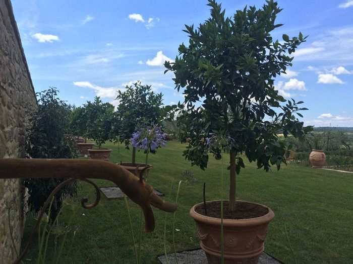 Archisio - Daniele Spitaleri Architetto E Garden Designer - Progetto Giardino podere polino