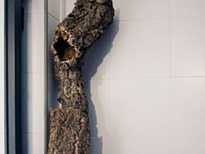 Archisio - Davide Coluzzi Daz Architect - Progetto Pesci e uva