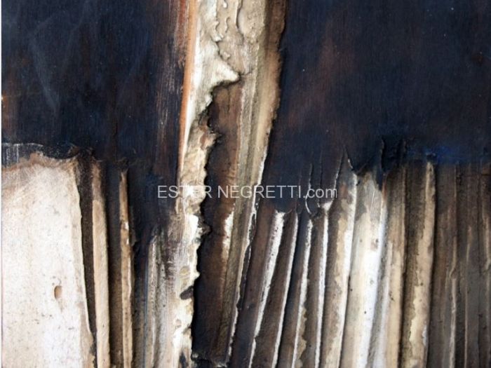 Archisio - Ester Maria Negretti - Progetto ESTER MARIA NEGRETTI