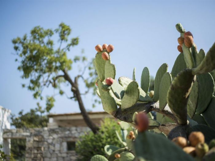 Archisio - Arkitetti Flore Venezia - Progetto Trulli vittoriani
