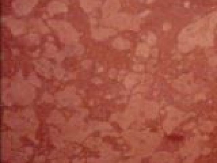 Archisio - Bagnari Marmi Due srl - Progetto Tipi di marmi