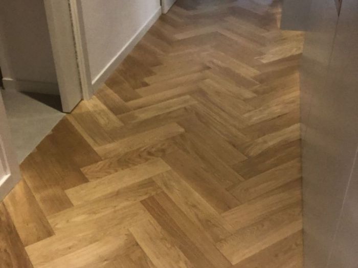 Archisio - Nunu Andrei - Progetto I nostri lavori