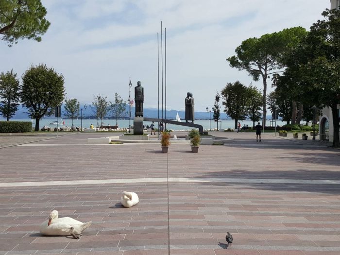 Archisio - Cristiano Mazzotta - Progetto Riqualificazione piazza cappelletti