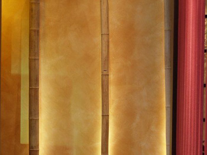 Archisio - Bianca Maria Canepa - Progetto Onsen