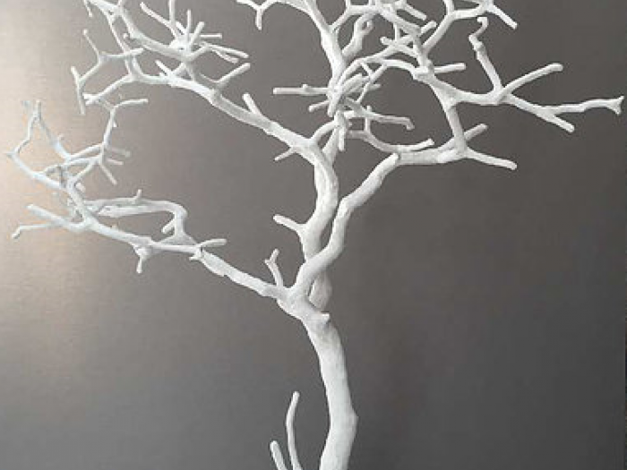 Archisio - Mariolina Fumo - Progetto Nature