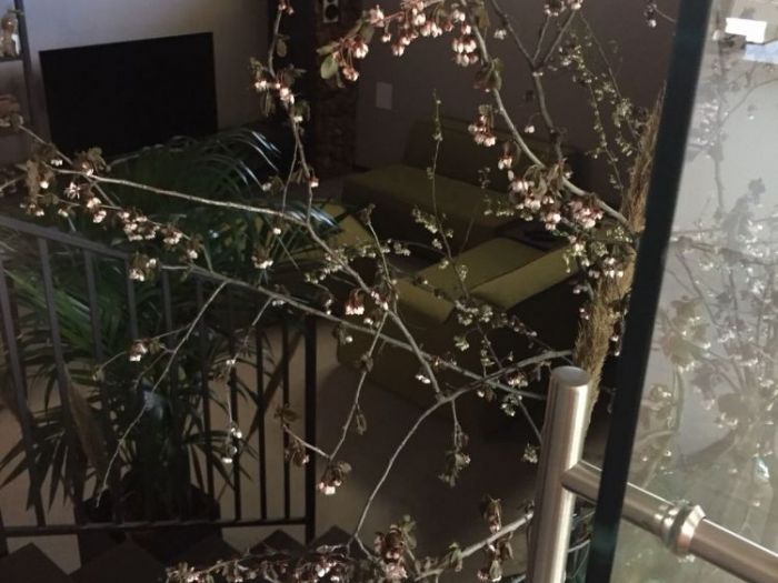 Archisio - Gian Luca Frigerio - Progetto 2017 loft a valenza al